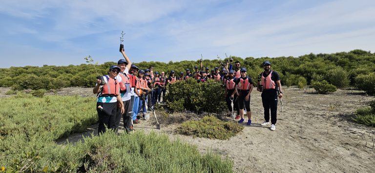 A sustainable CSR effort : Mangrove Afforestation